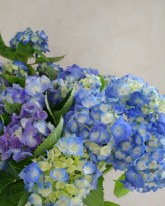 Rainy Blue Bouquet Workshop