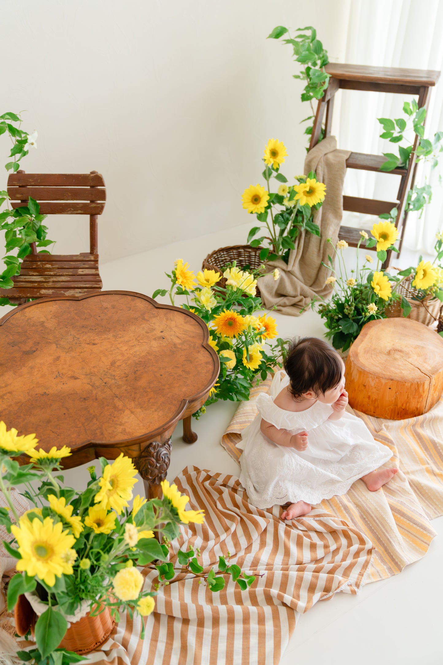 7月生花セルフ撮影会「ひまわり撮影会」