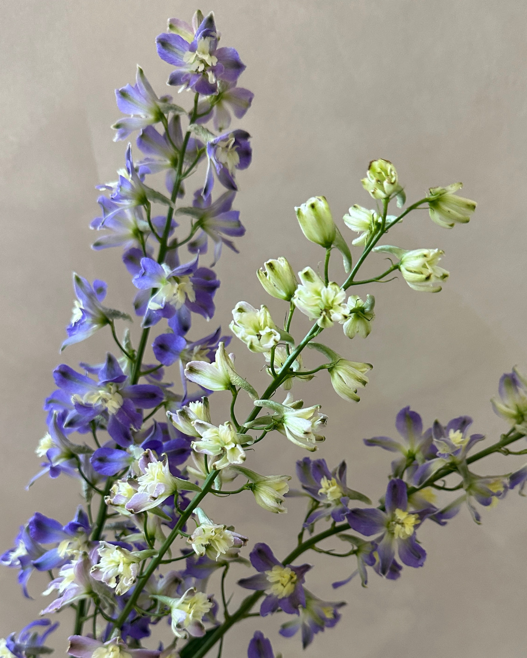 Rainy Blue Bouquet Workshop
