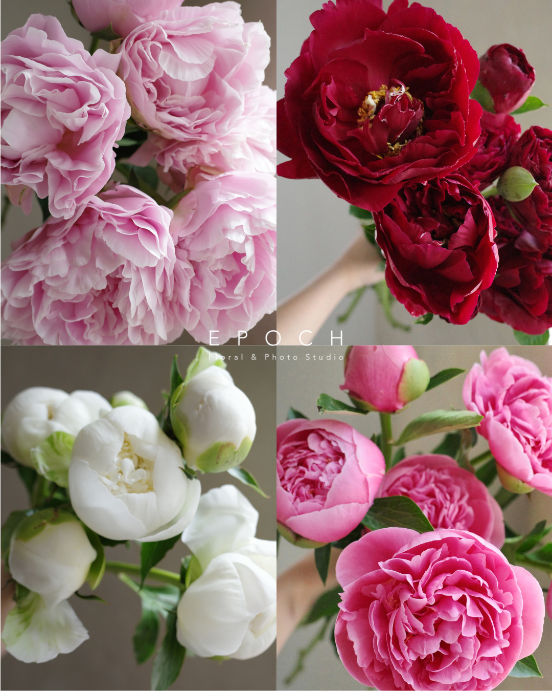 Peony & Rose Bouquet Workshop